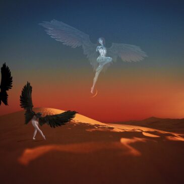 Les Anges de nos déserts…