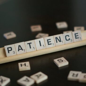 Eloge de la patience